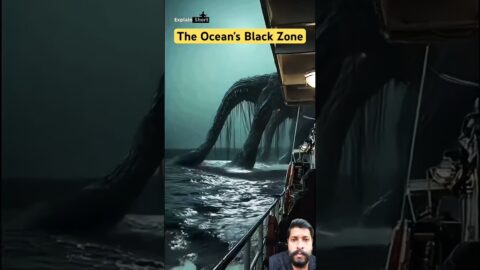 The Ocean's Black Zone #ship #shiplife #travel #viral #trending #shorts #shortsfeed #youtubeshorts