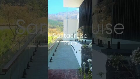 Black - Black..Black Travelers Movement meets the Black owned winery, Klein Goerderust.South Africa